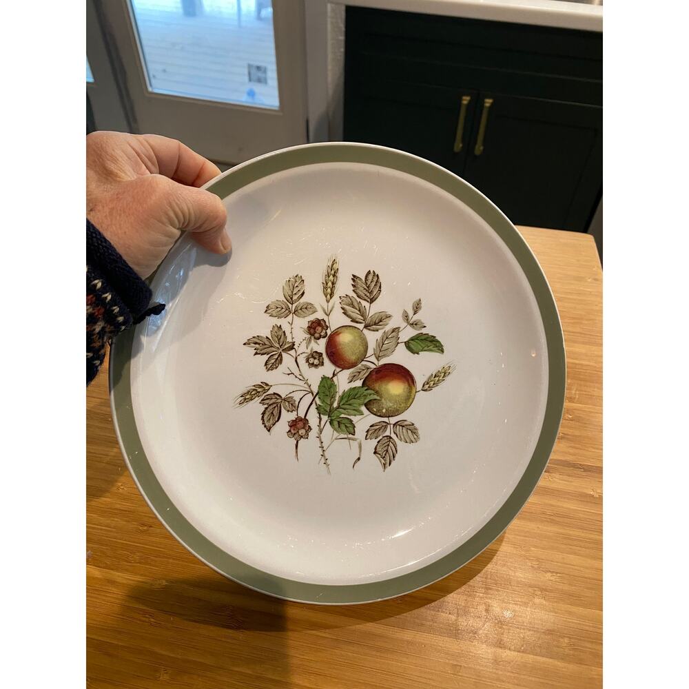Hereford Alfred Meakin Staffordshire England Autumn Fruit & Foliage 10"‎ Plates